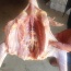 Gà ta thả vườn (gà mái) đã làm sạch
